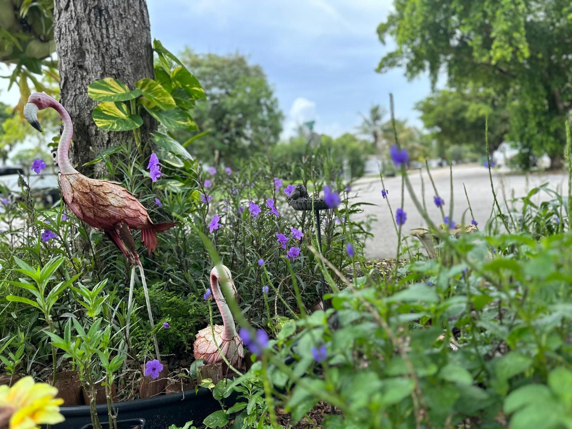 Flora'S Garden Apartment/Studio North Miami Zewnętrze zdjęcie